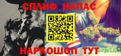 молекула духа Донской