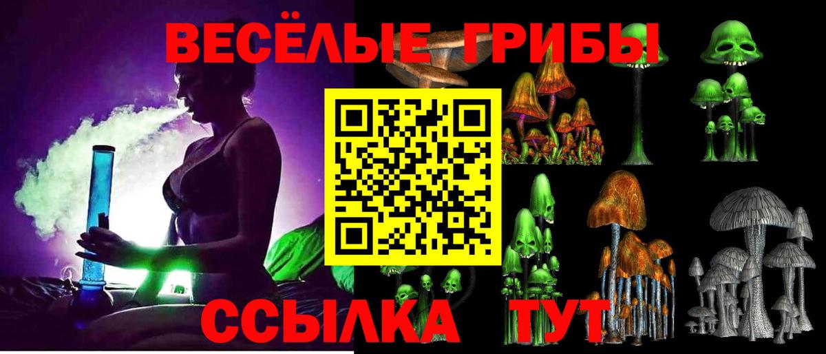 Галлюциногенные грибы Magic Shrooms  закладки  Муром  Вход с VPN 
